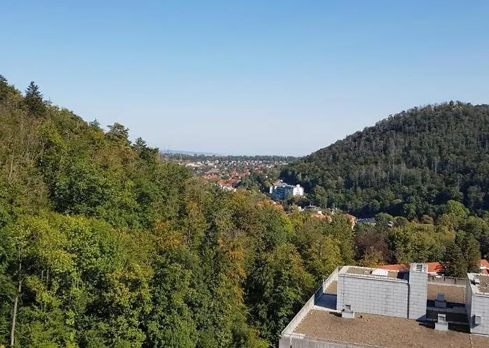 Penthouse Wolke 16 Mit Schwimmbad Und Saunanutzung 公寓 巴特哈尔茨堡