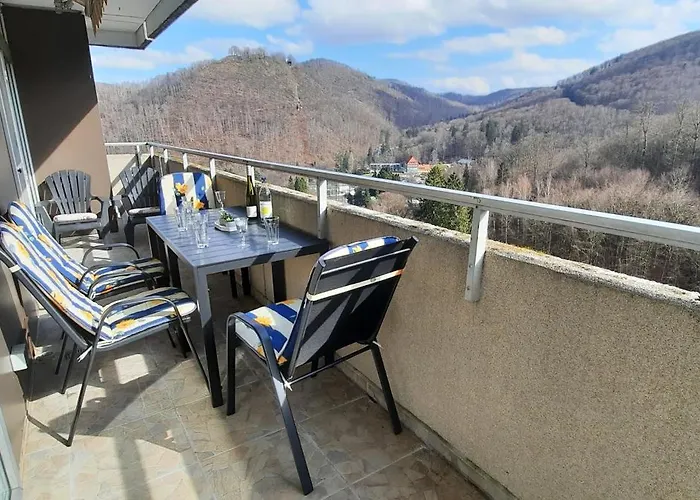 Penthouse Wolke 16 Mit Schwimmbad Und Saunanutzung 巴特哈尔茨堡